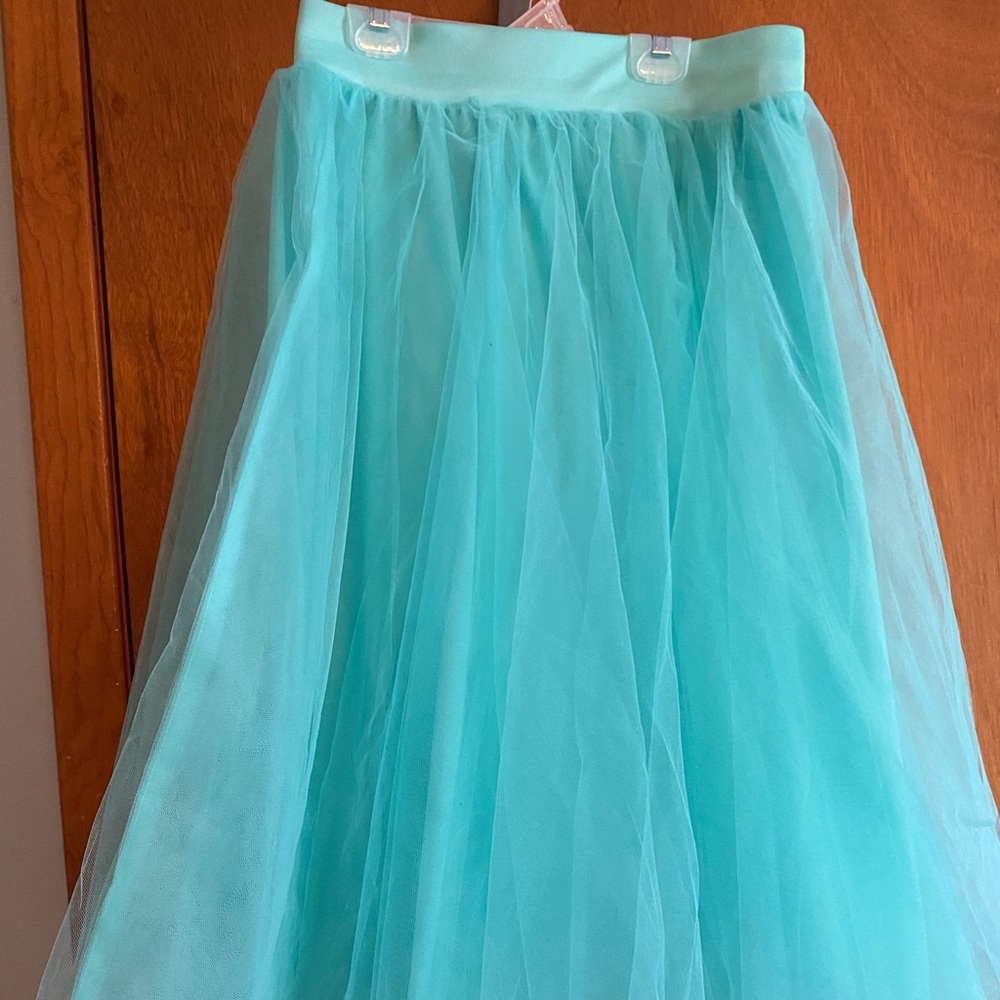 Teal tulle skirt